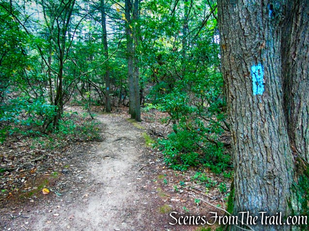 Mattatuck Trail - Black Rock State Park