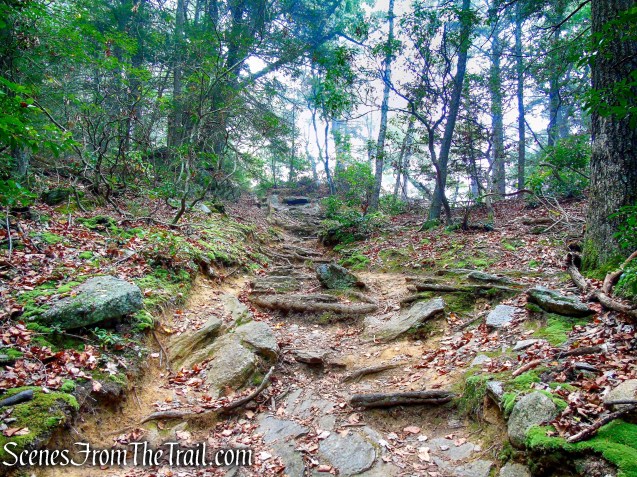 Mattatuck Trail - Black Rock State Park
