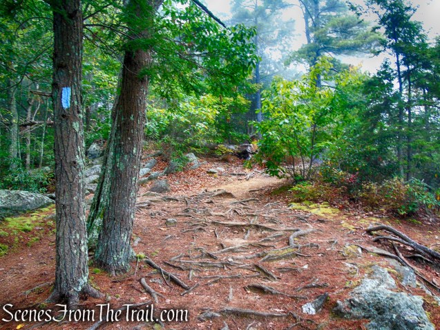 Mattatuck Trail - Black Rock State Park