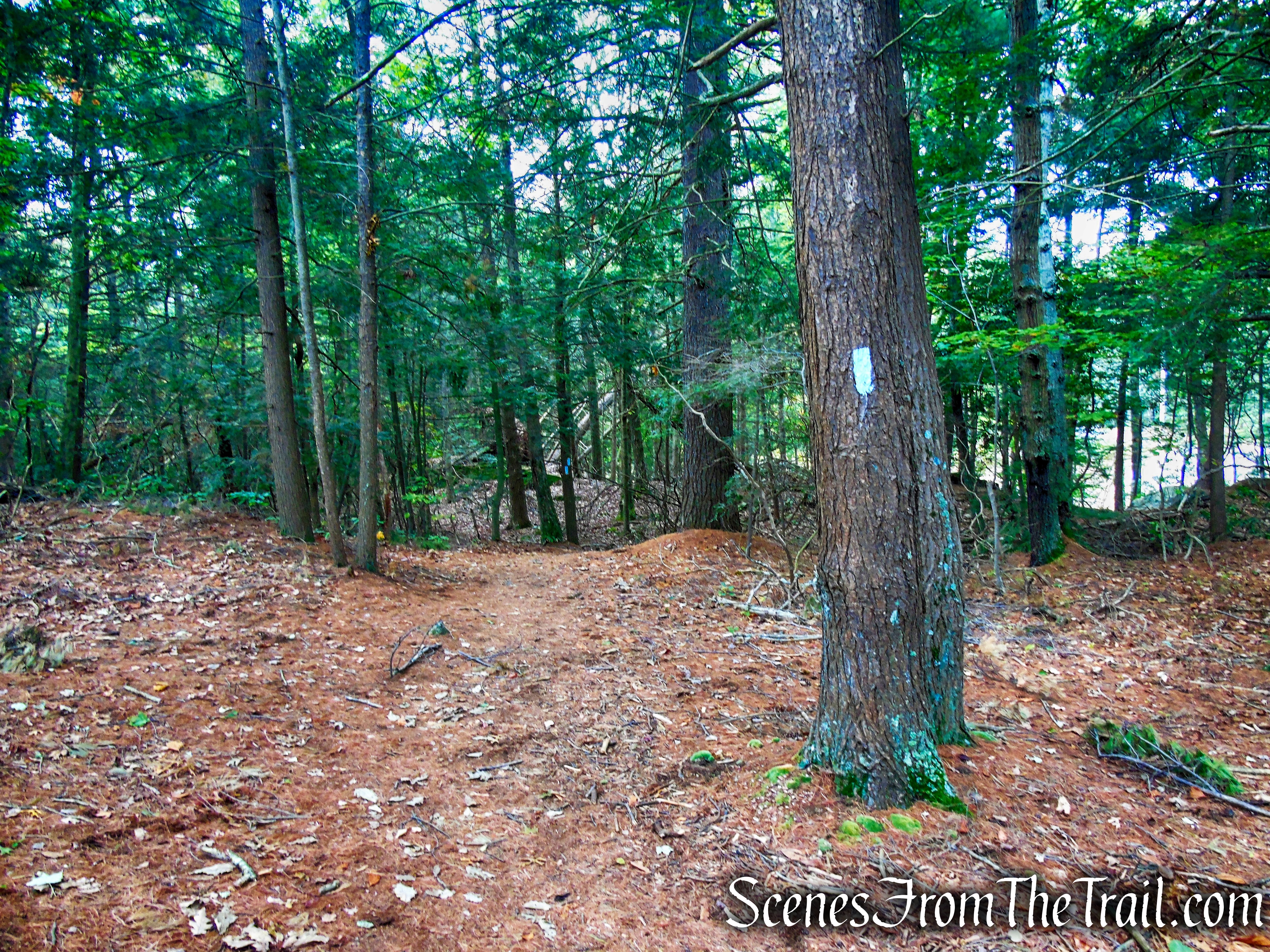 Mattatuck Trail - Black Rock State Park