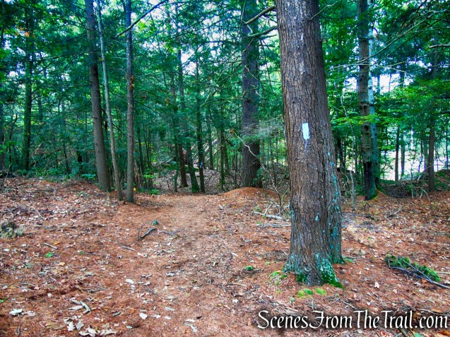 Mattatuck Trail - Black Rock State Park