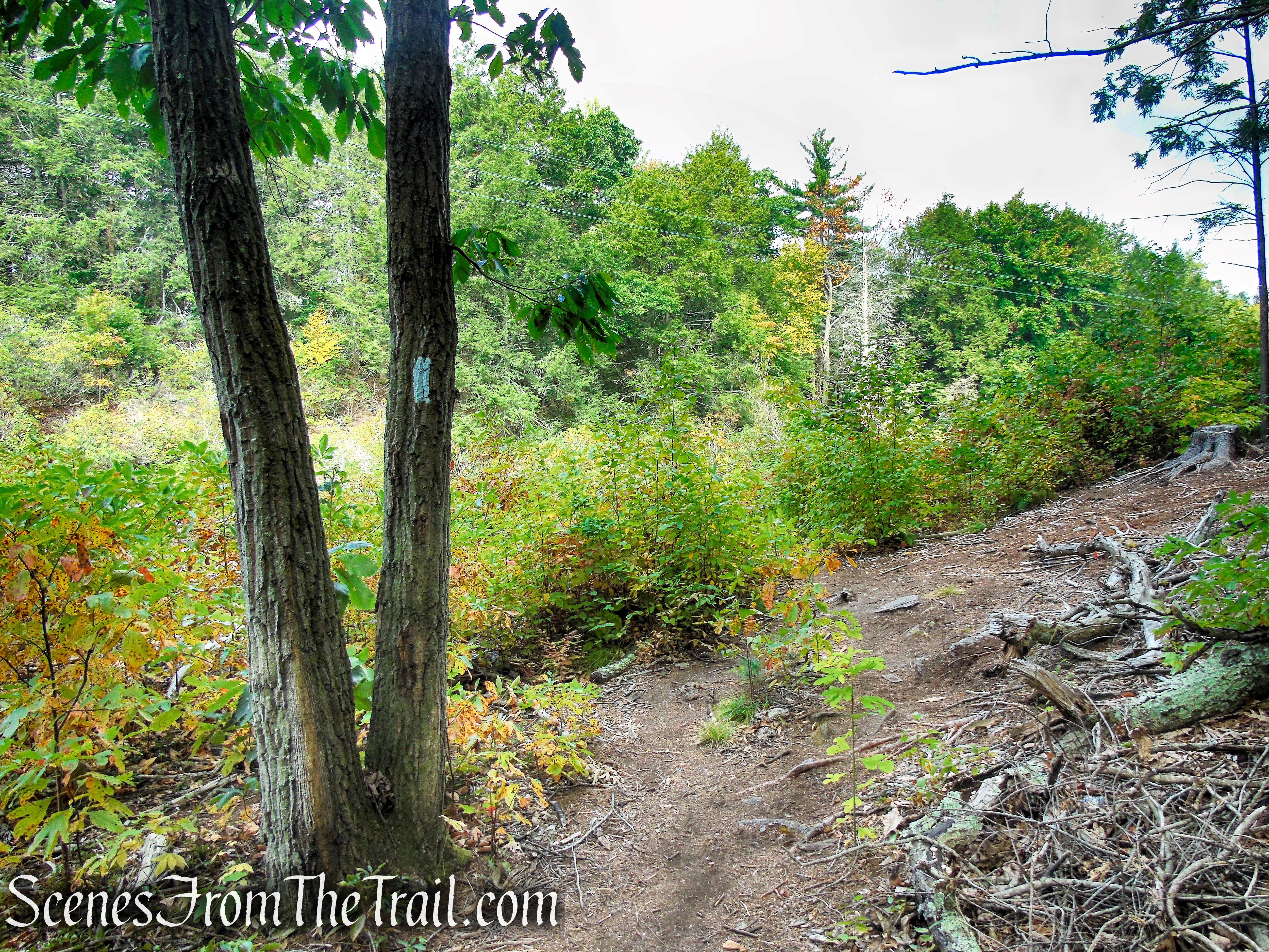 Mattatuck Trail - Black Rock State Park