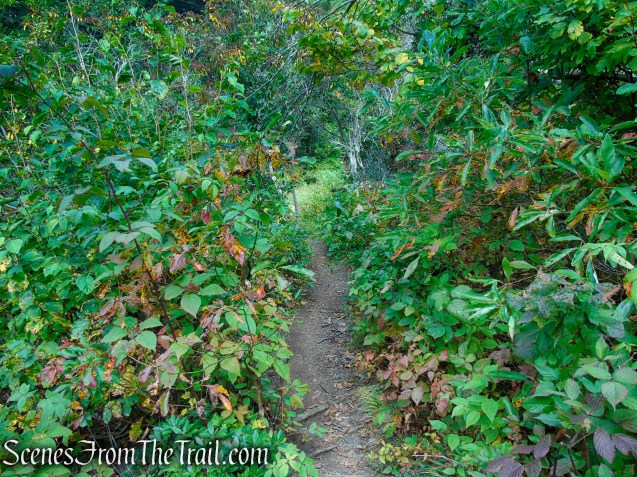 Mattatuck Trail - Black Rock State Park
