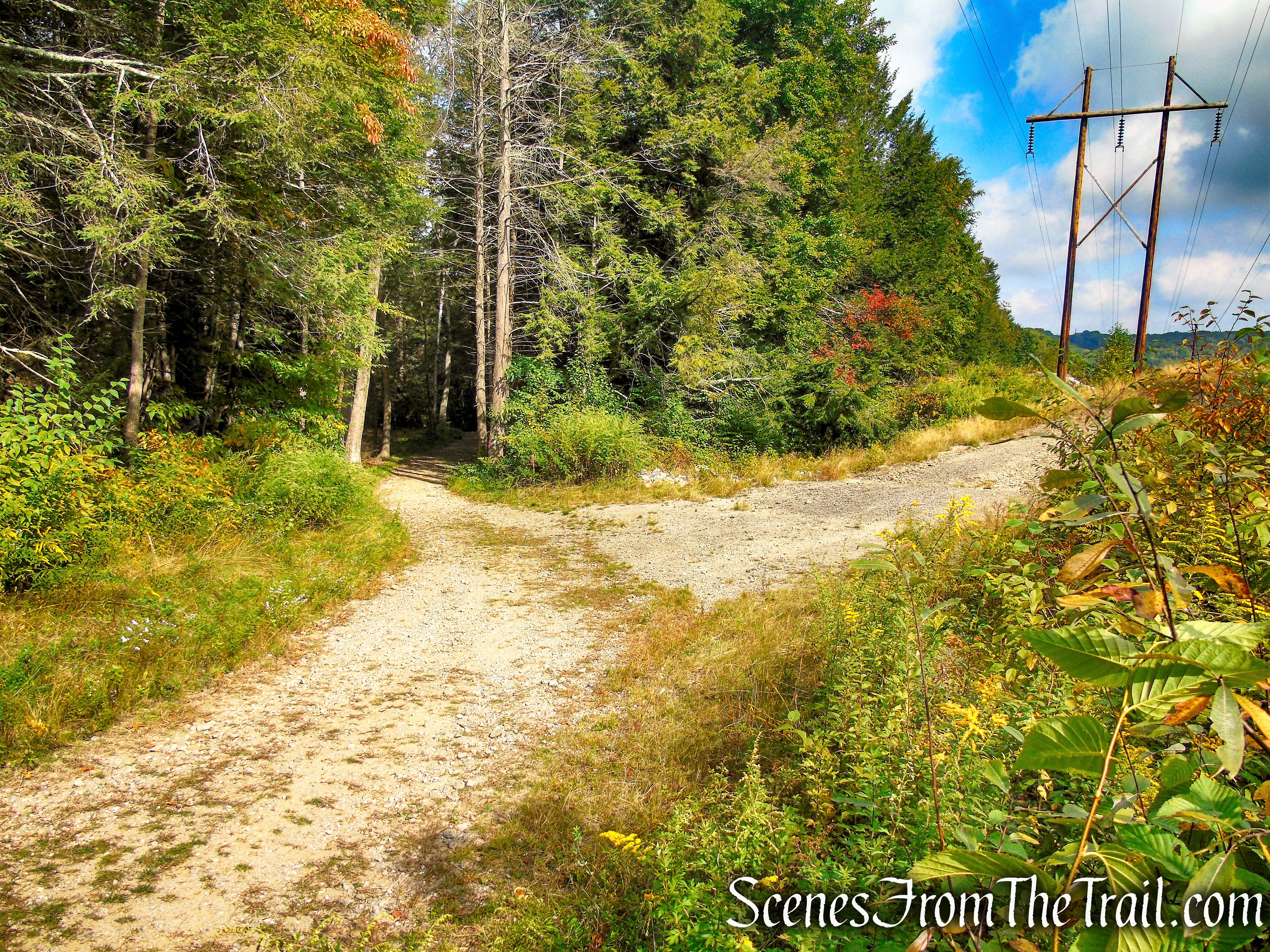 Mattatuck Trail - Black Rock State Park