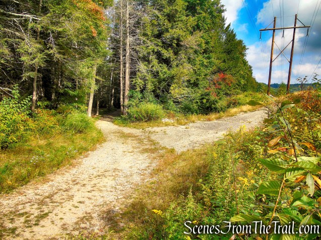 Mattatuck Trail - Black Rock State Park