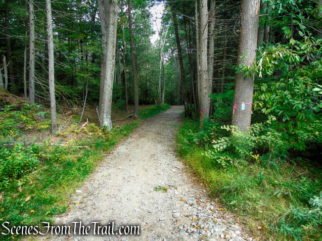 Mattatuck Trail - Black Rock State Park