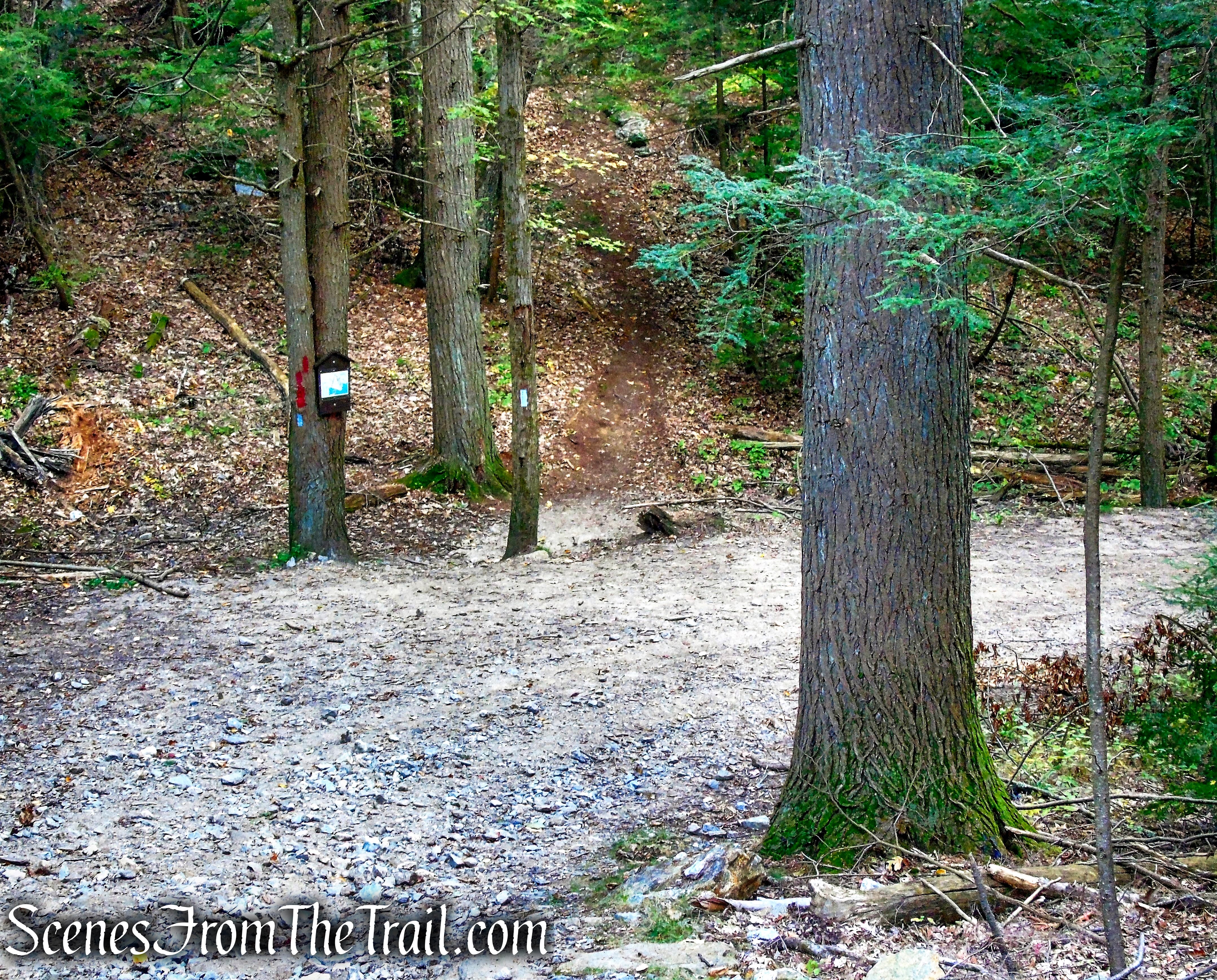 turn right on Red Trail