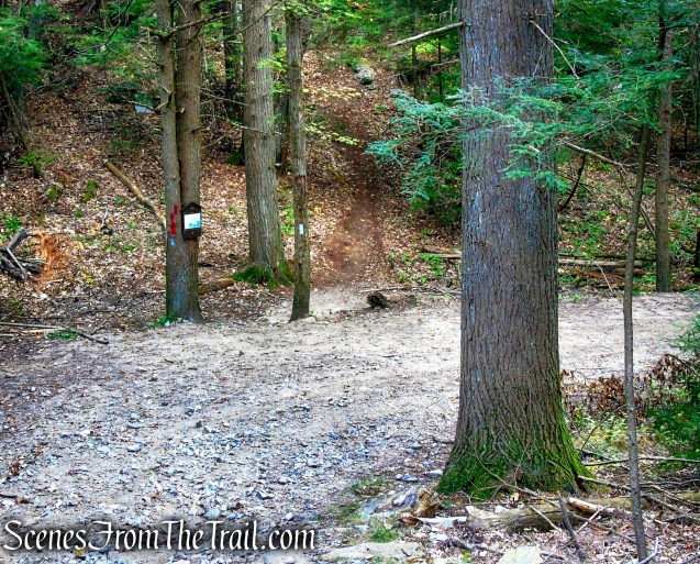 turn right on Red Trail