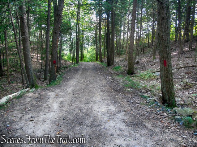 Red Trail - Black Rock State Park