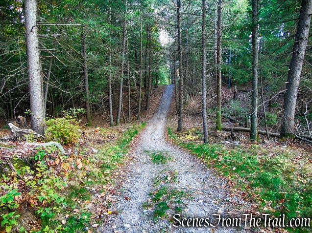 Red Trail - Black Rock State Park