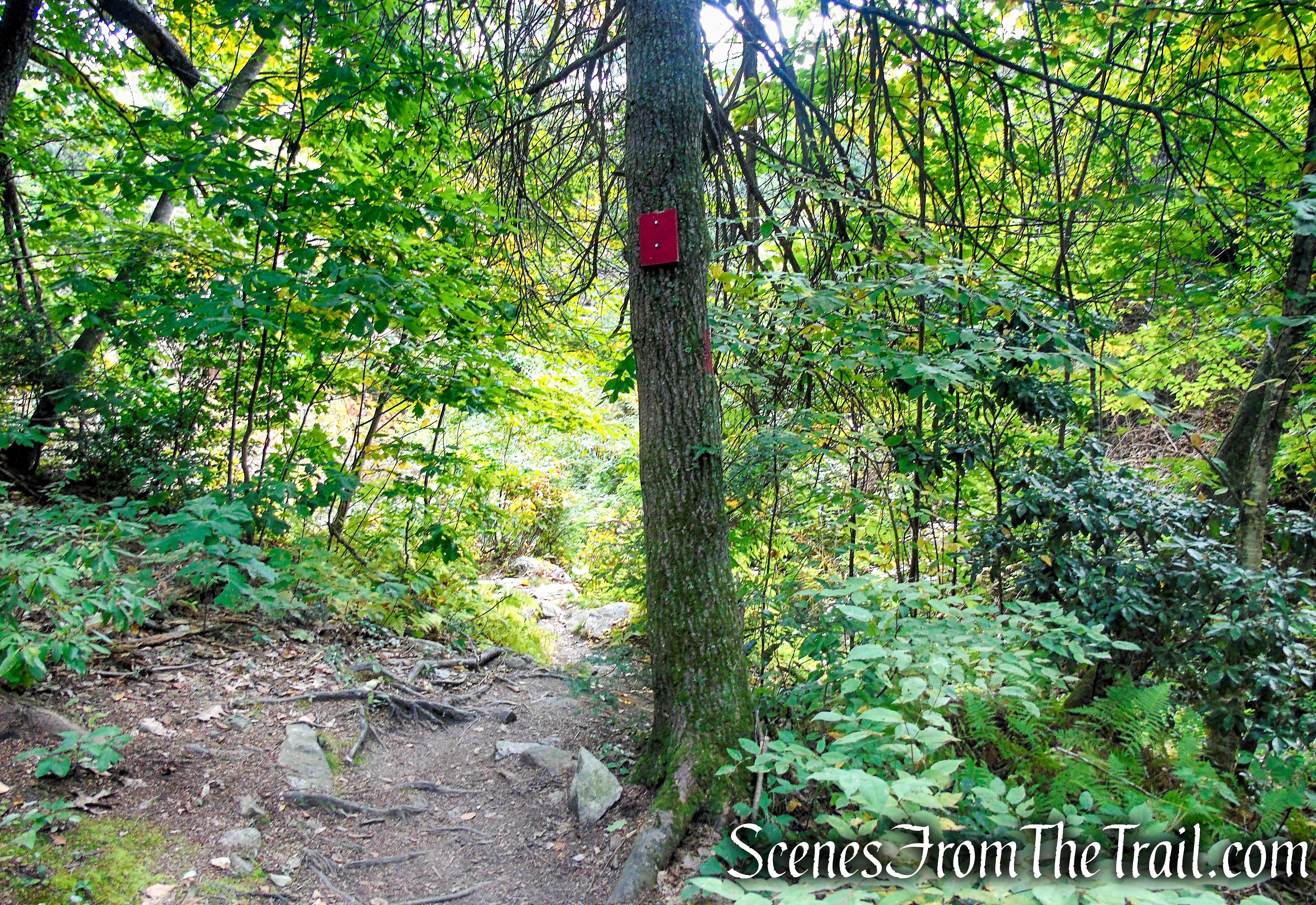 Red Trail - Black Rock State Park
