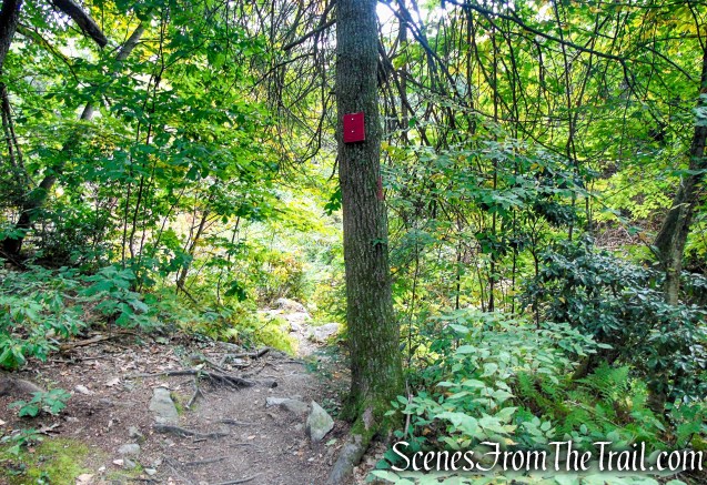 Red Trail - Black Rock State Park