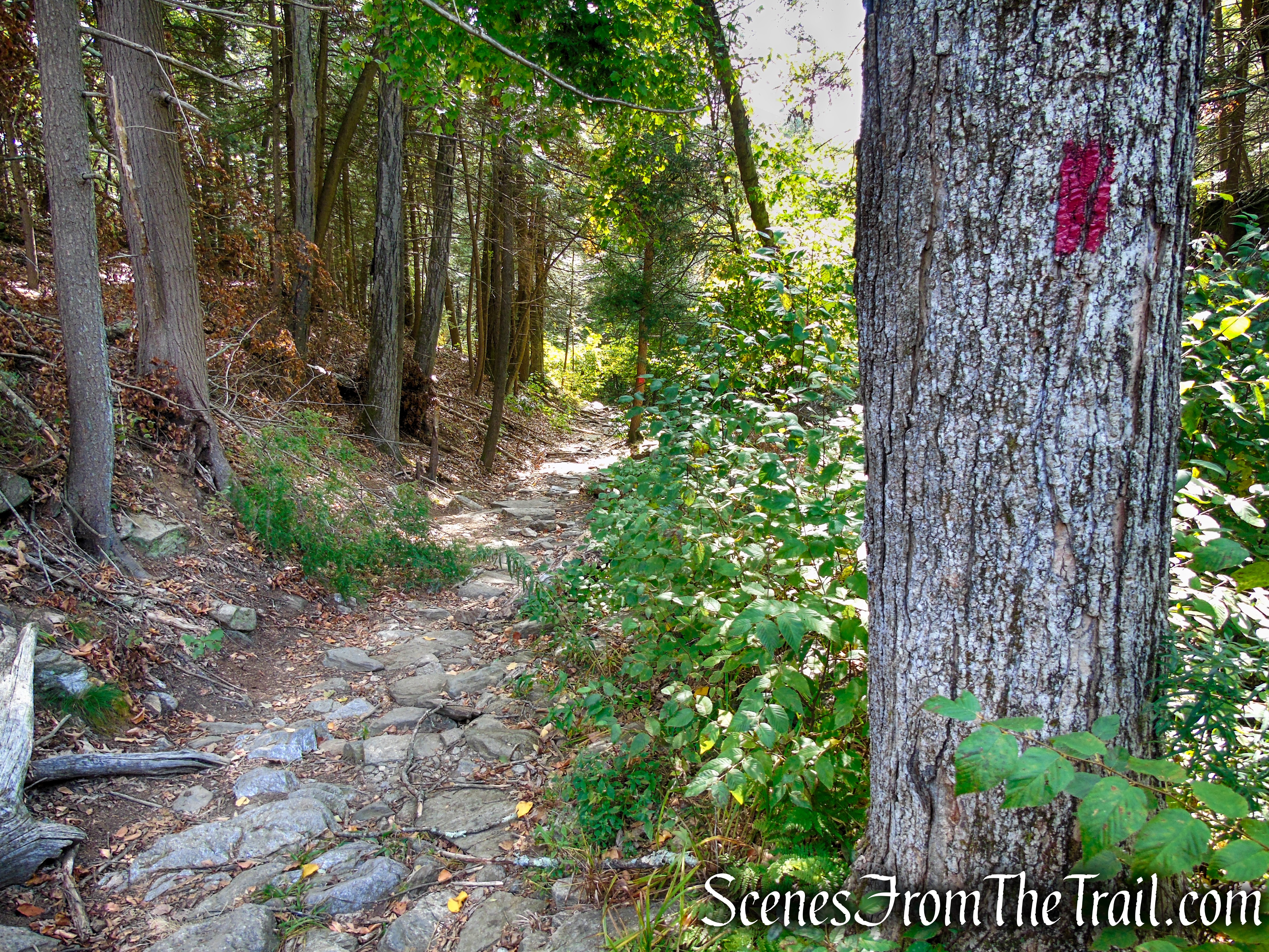 Red Trail - Black Rock State Park