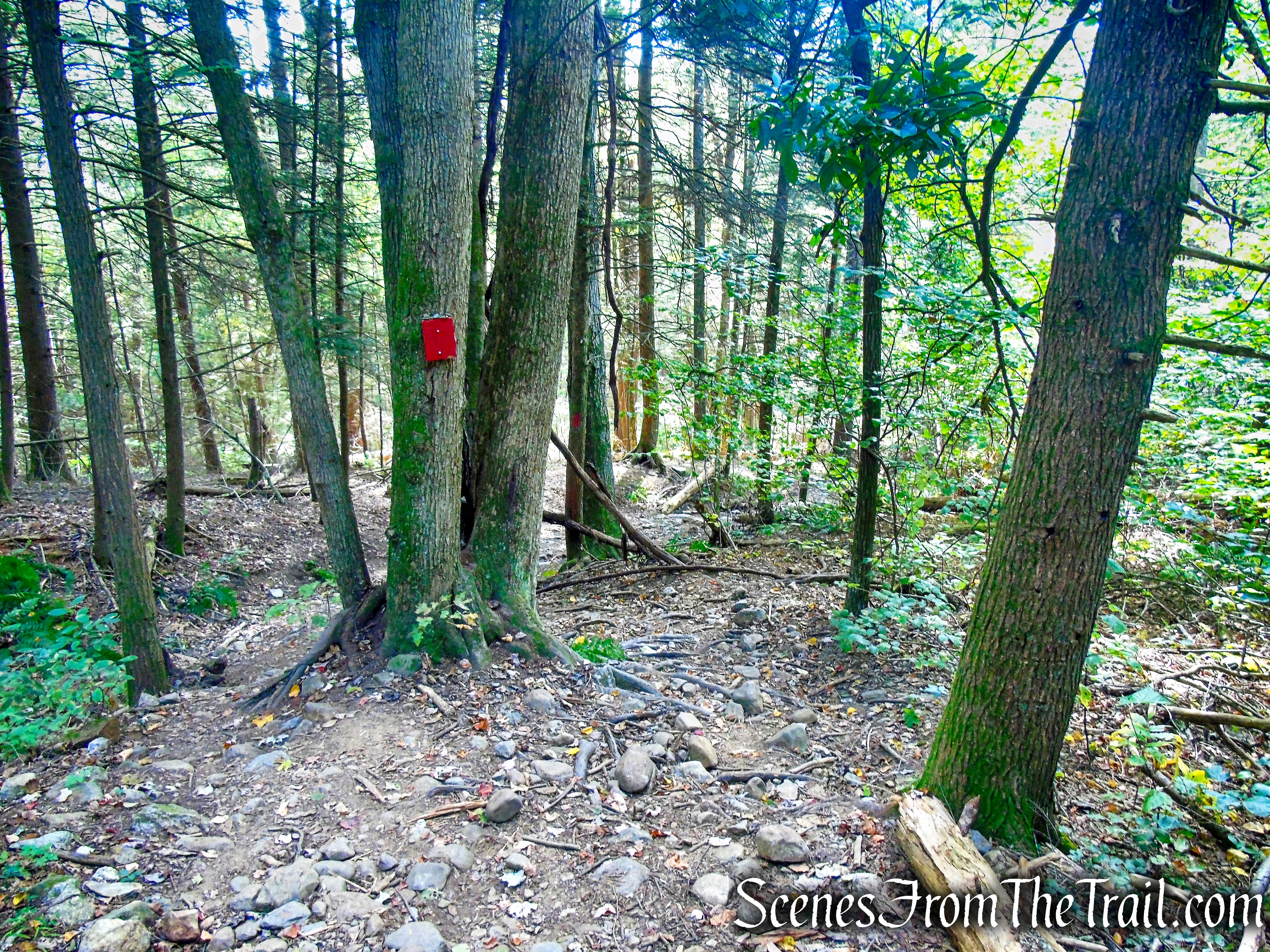 Red Trail - Black Rock State Park