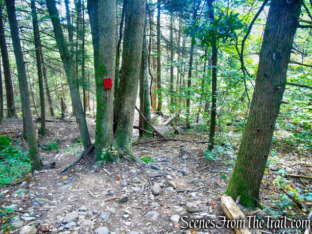 Red Trail - Black Rock State Park