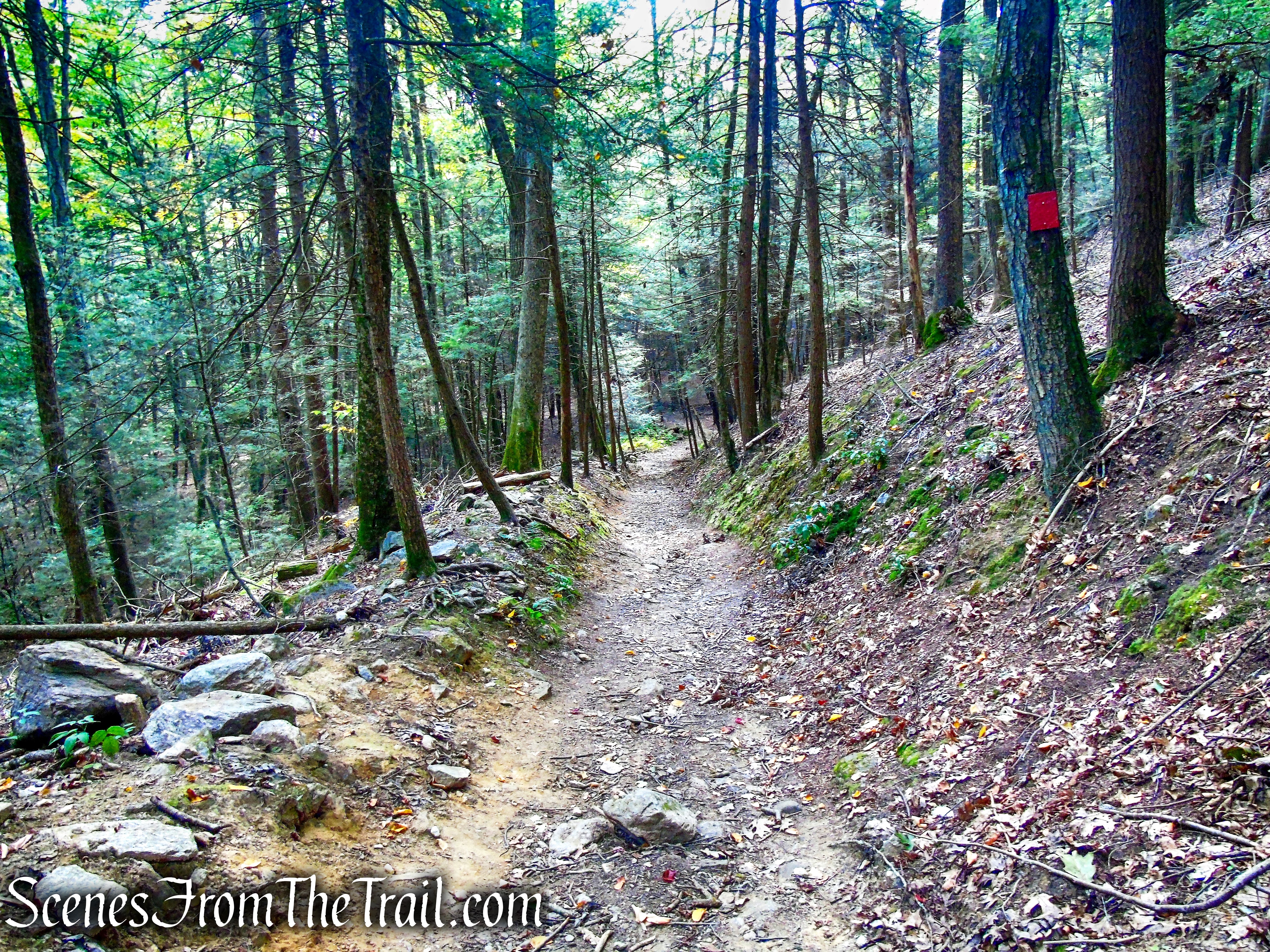 Red Trail – Black Rock State Park