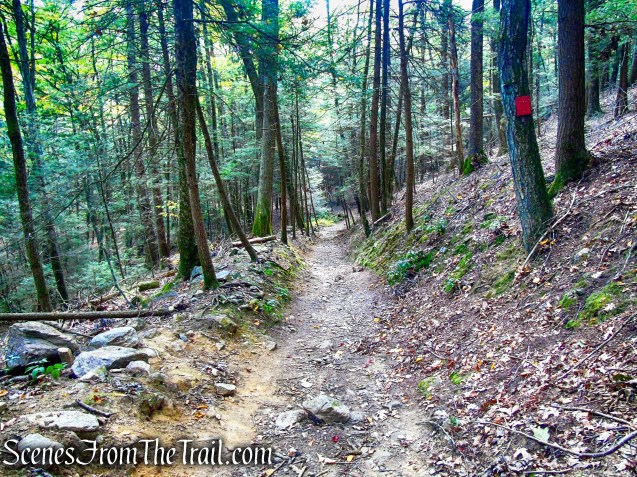 Red Trail – Black Rock State Park