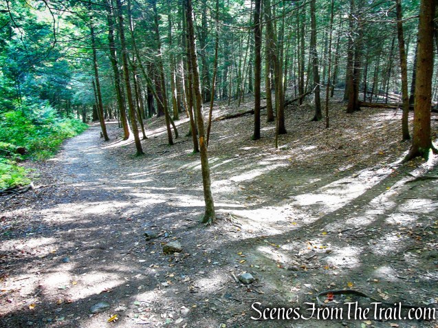 turn left on Mattatuck Trail