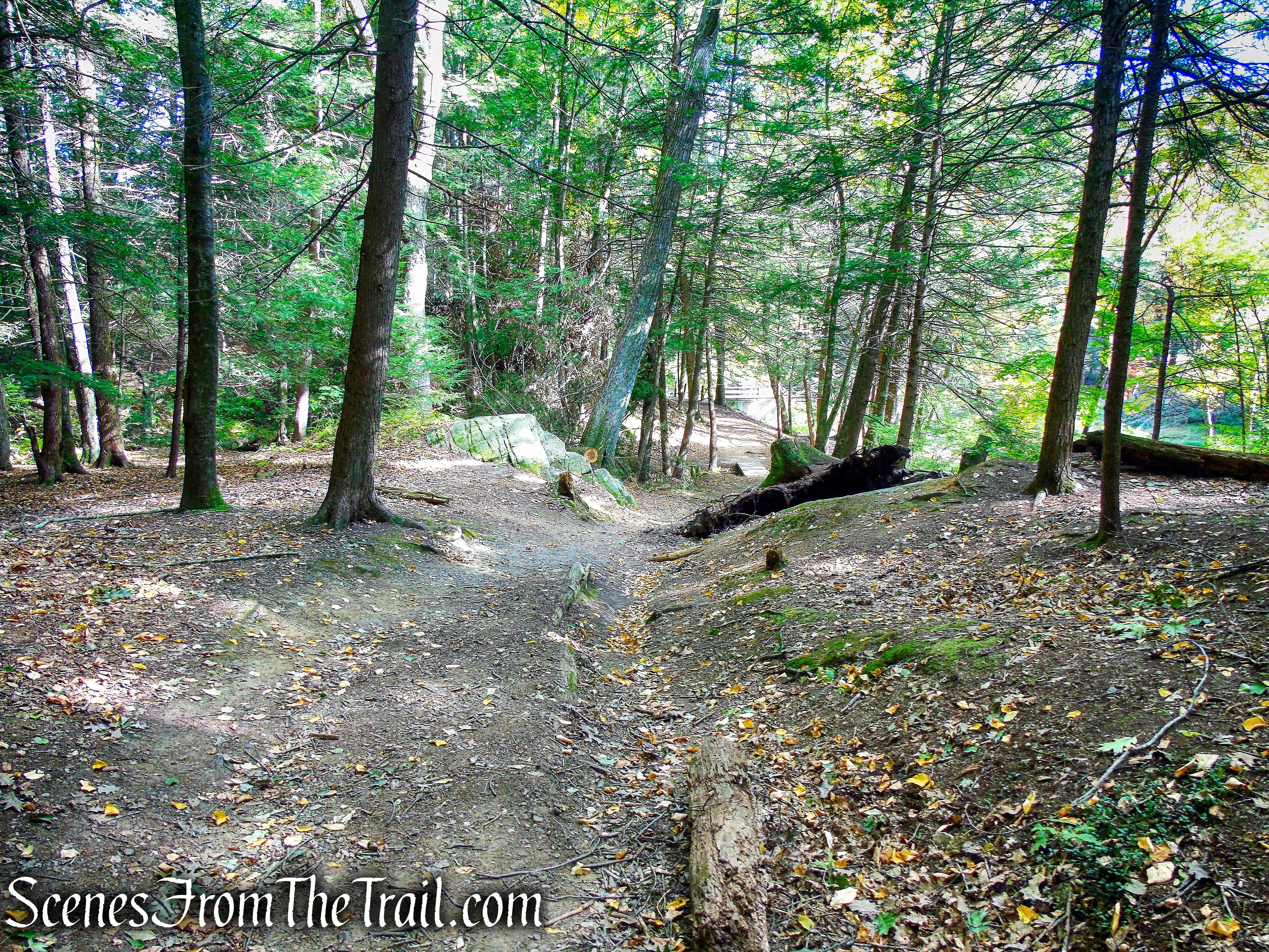 turn left on woods road