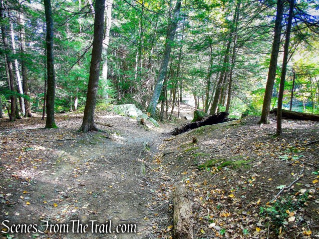 turn left on woods road