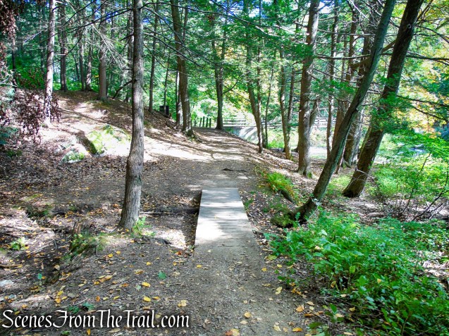 woods road - Black Rock State Park