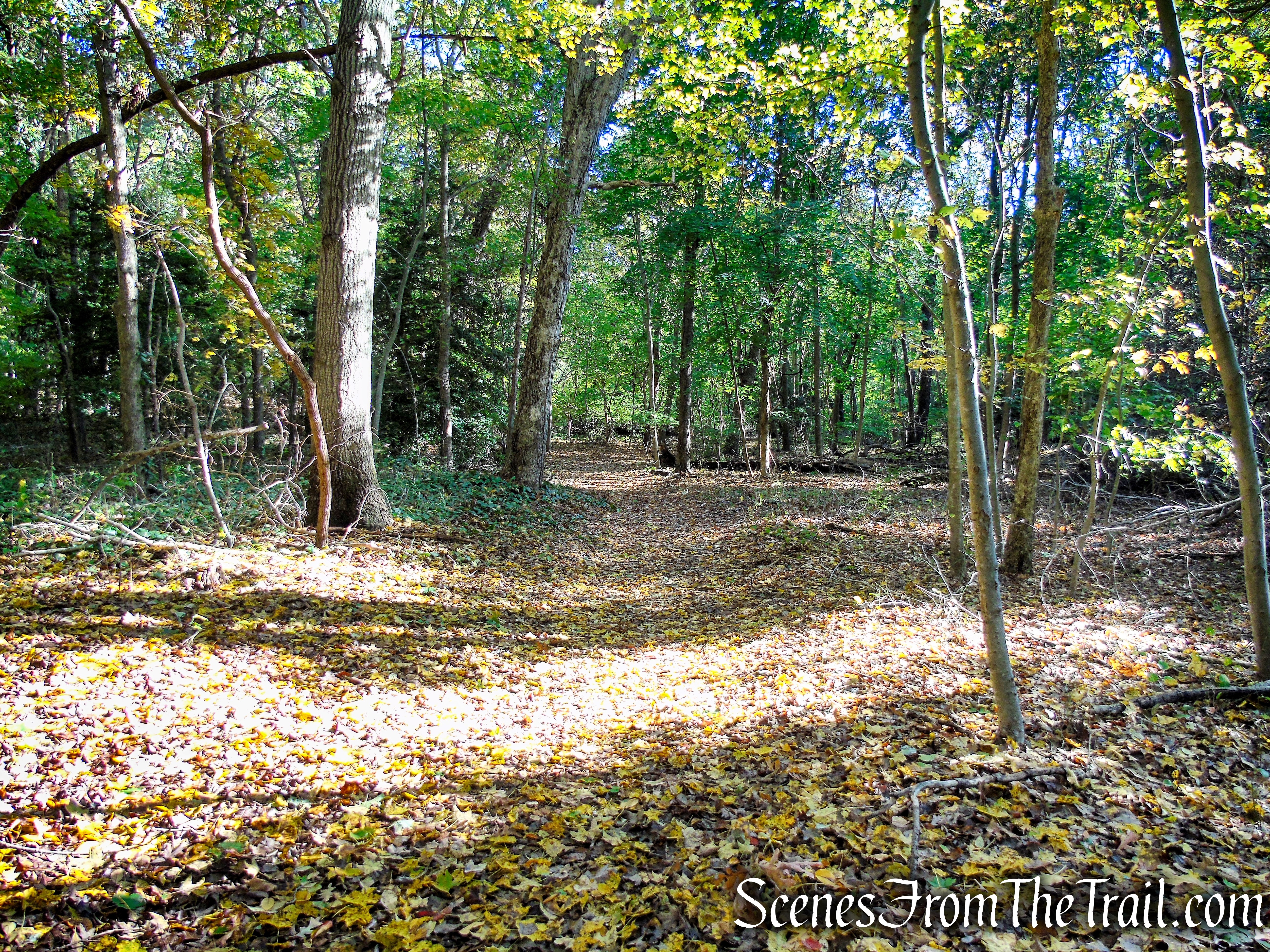Warbler's Loop Trail