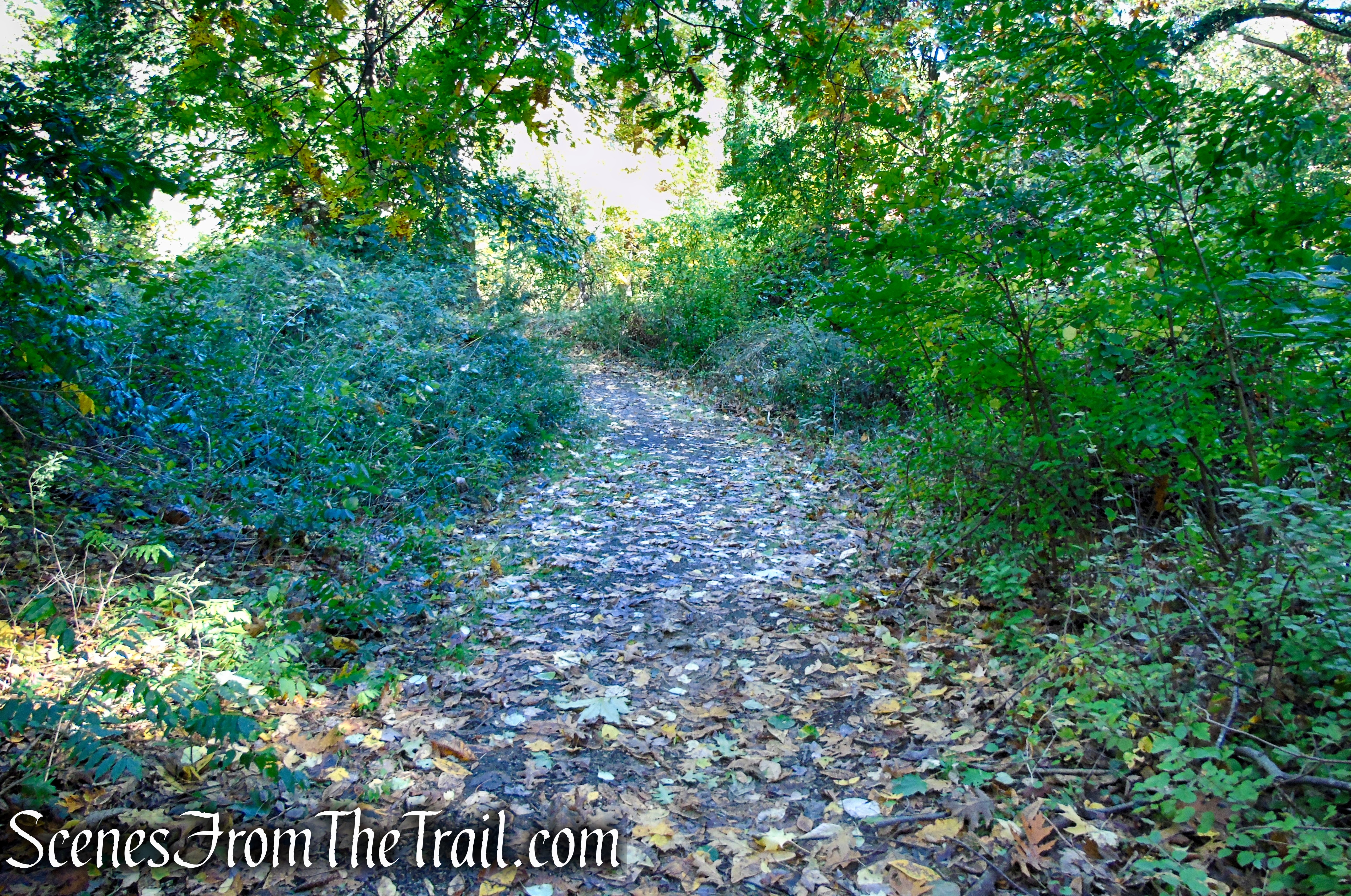 Warbler's Loop Trail