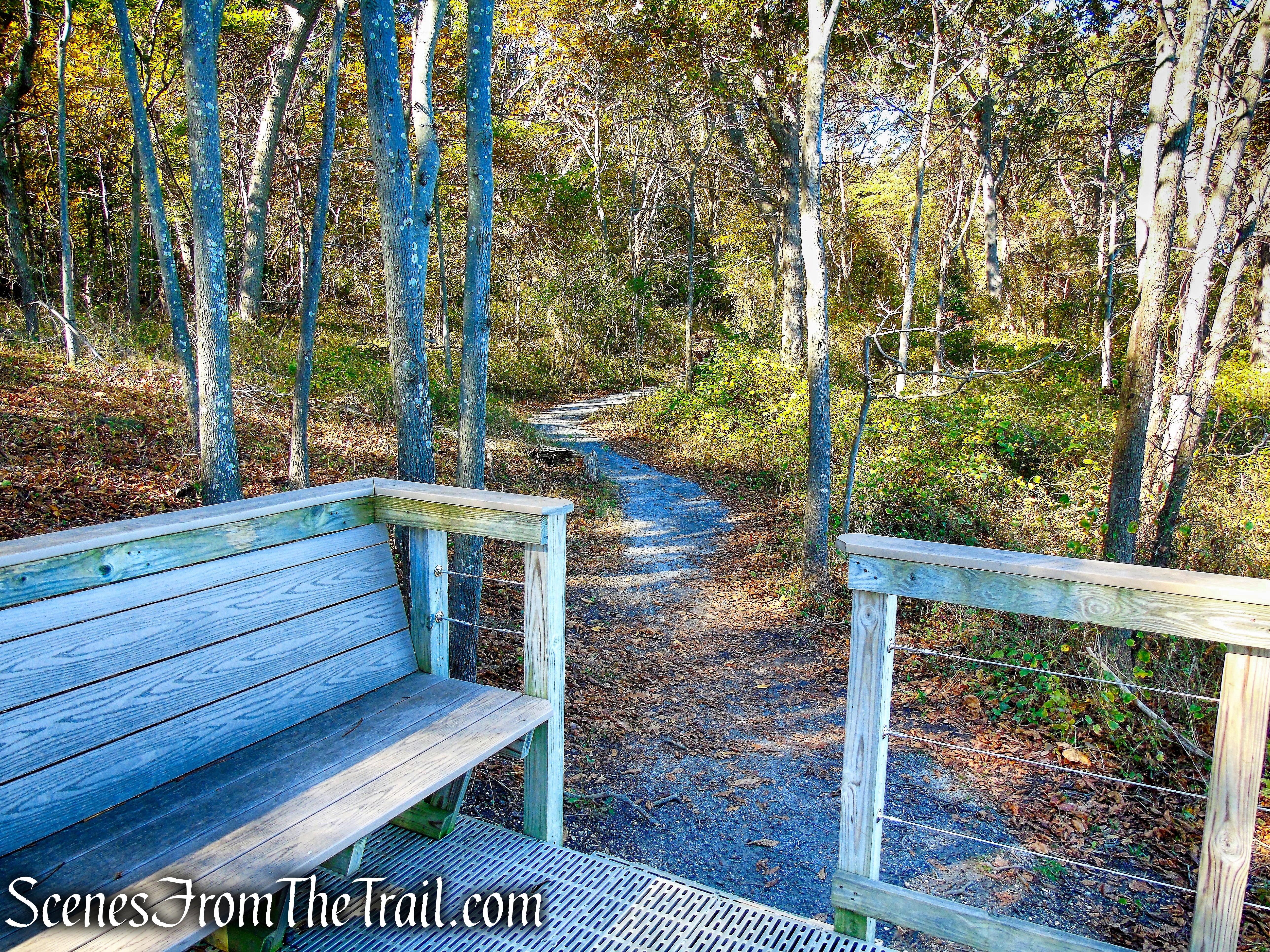 Beach Access Trail