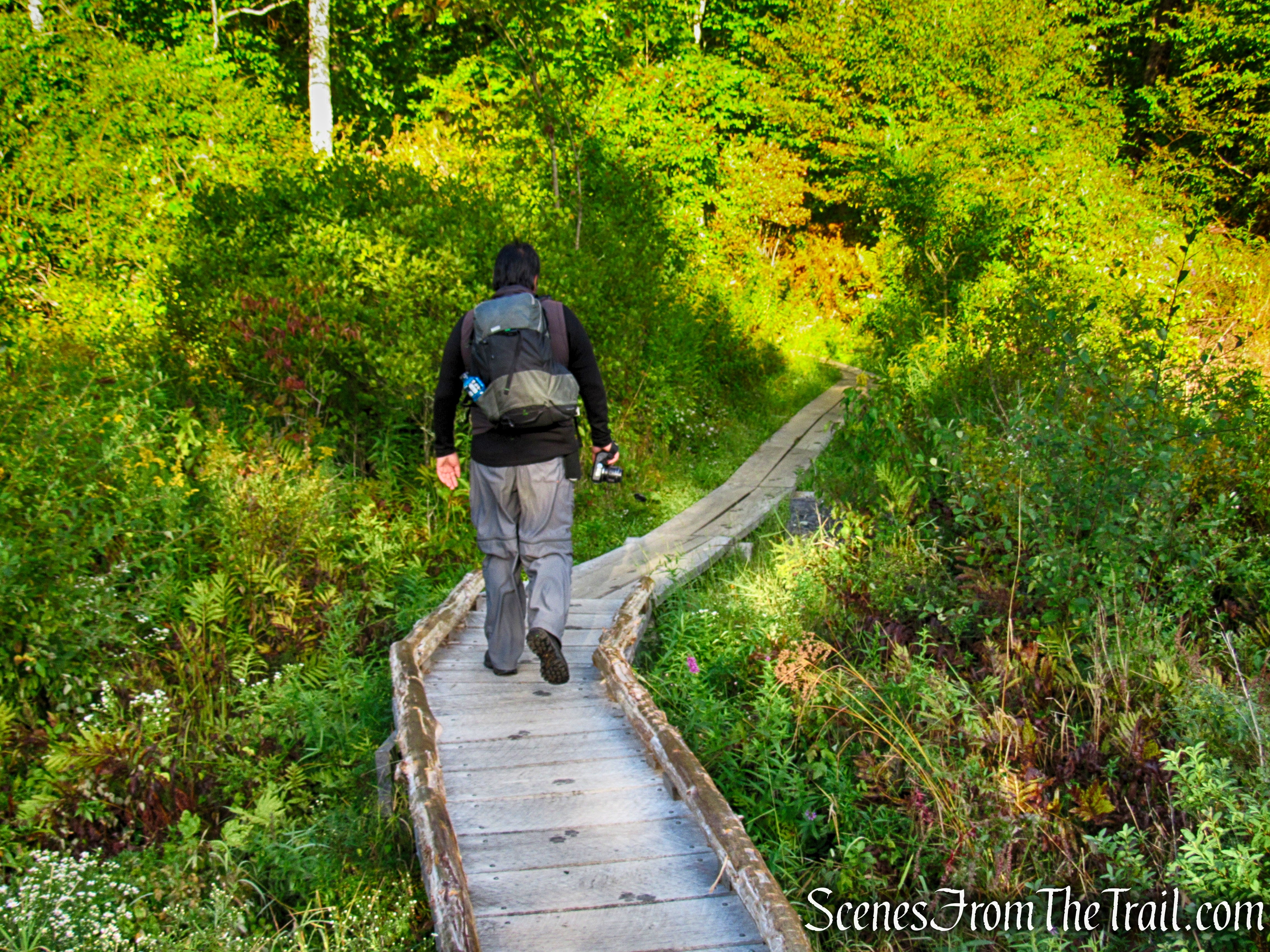 Macricostas Preserve