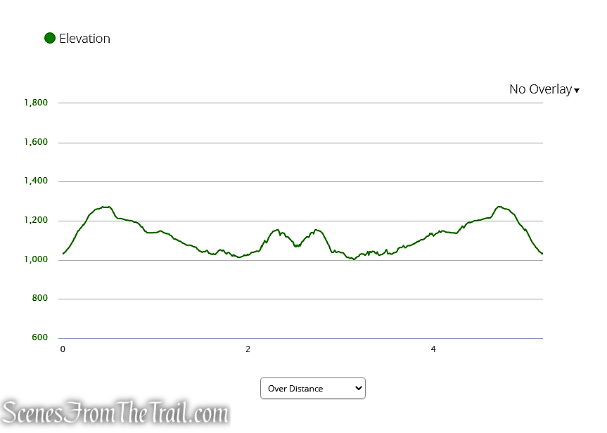 Canopus Lake Overlook from Long Hill Road – Fahnestock State Park