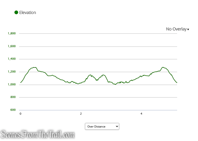 Canopus Lake Overlook from Long Hill Road – Fahnestock State Park