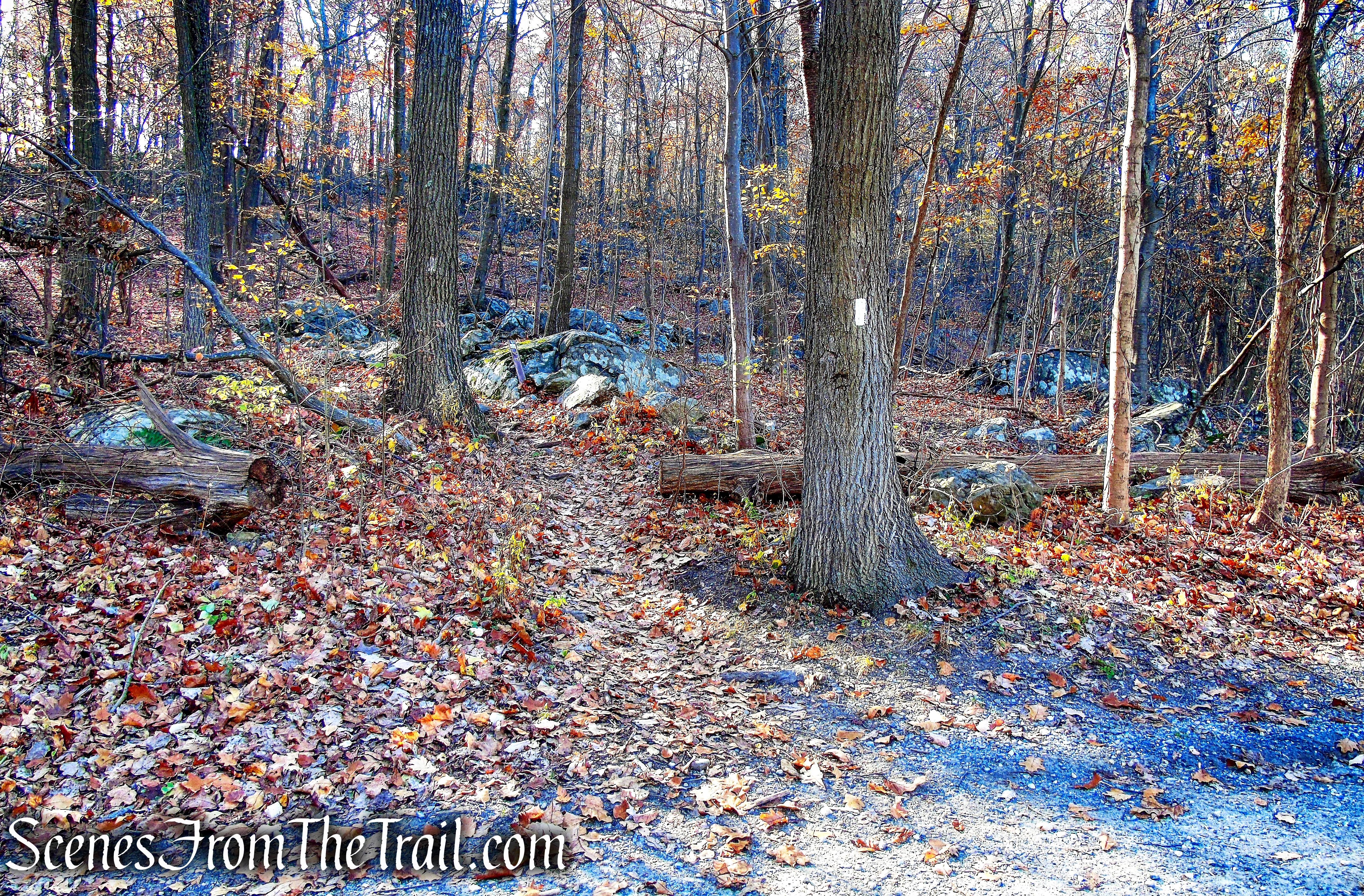 Appalachian Trail - Shenandoah Mountain