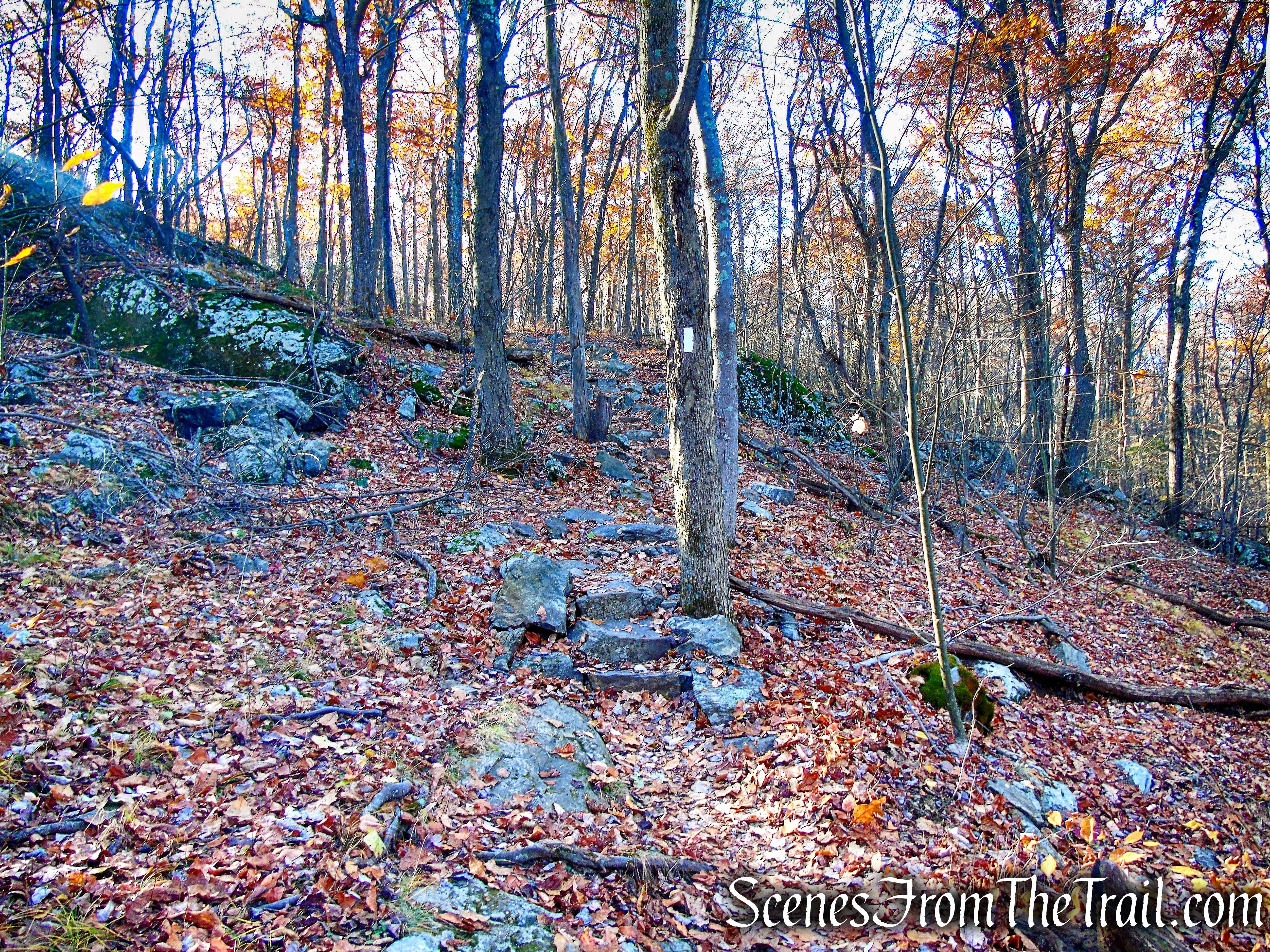 Appalachian Trail - Shenandoah Mountain