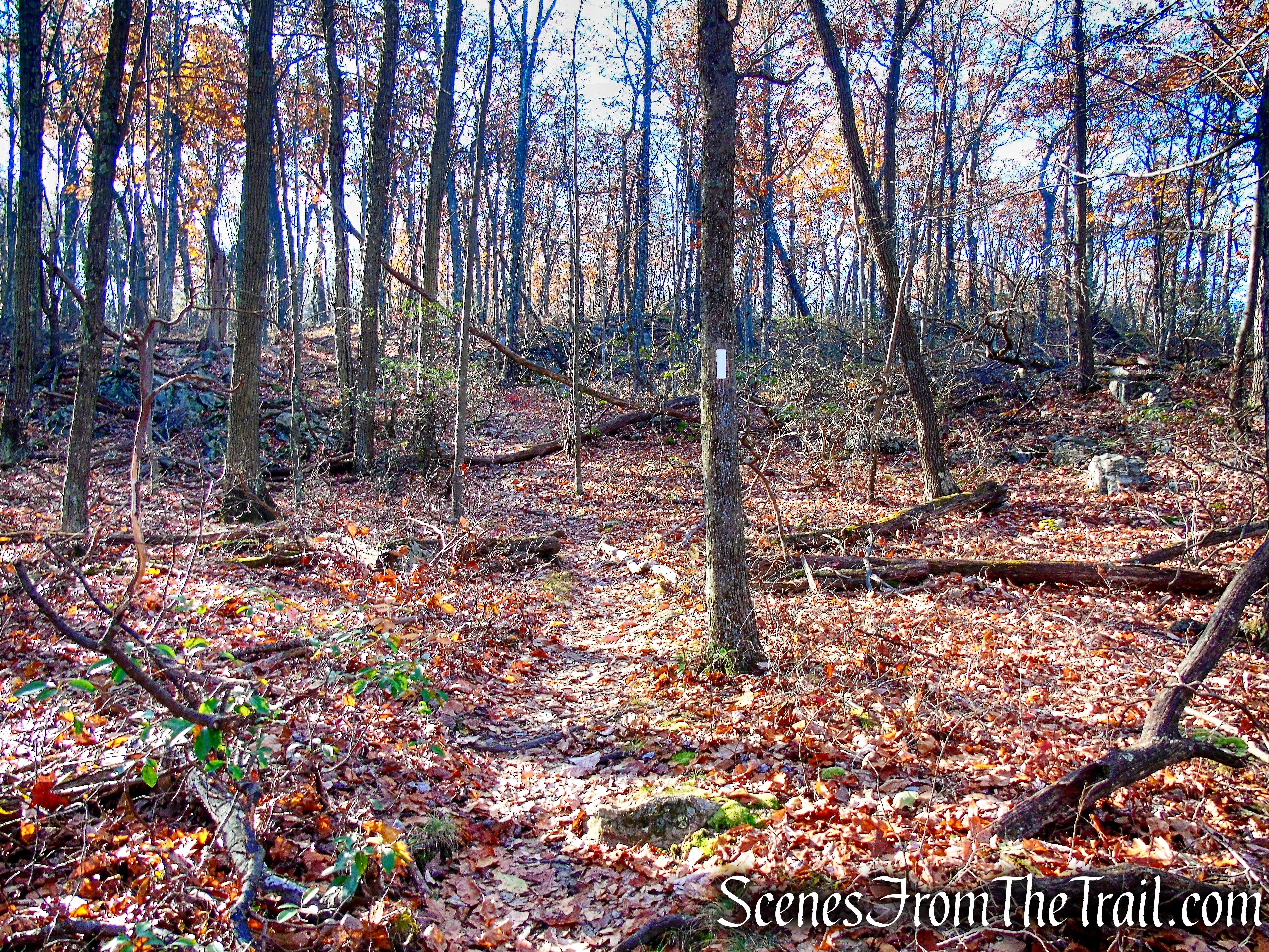 Appalachian Trail – Shenandoah Mountain
