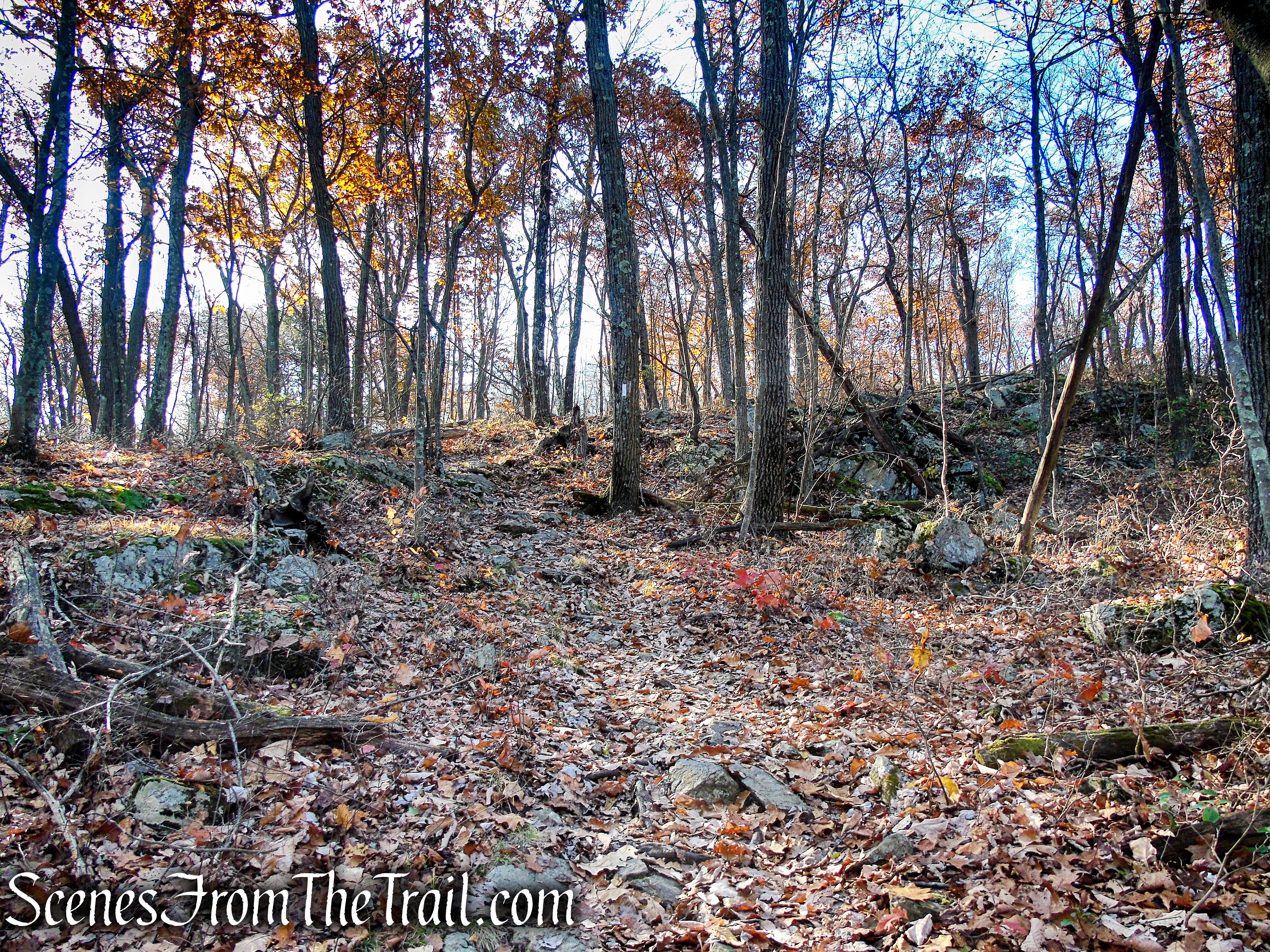 Appalachian Trail – Shenandoah Mountain
