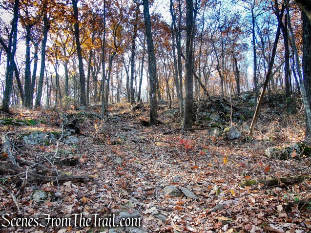 Appalachian Trail – Shenandoah Mountain