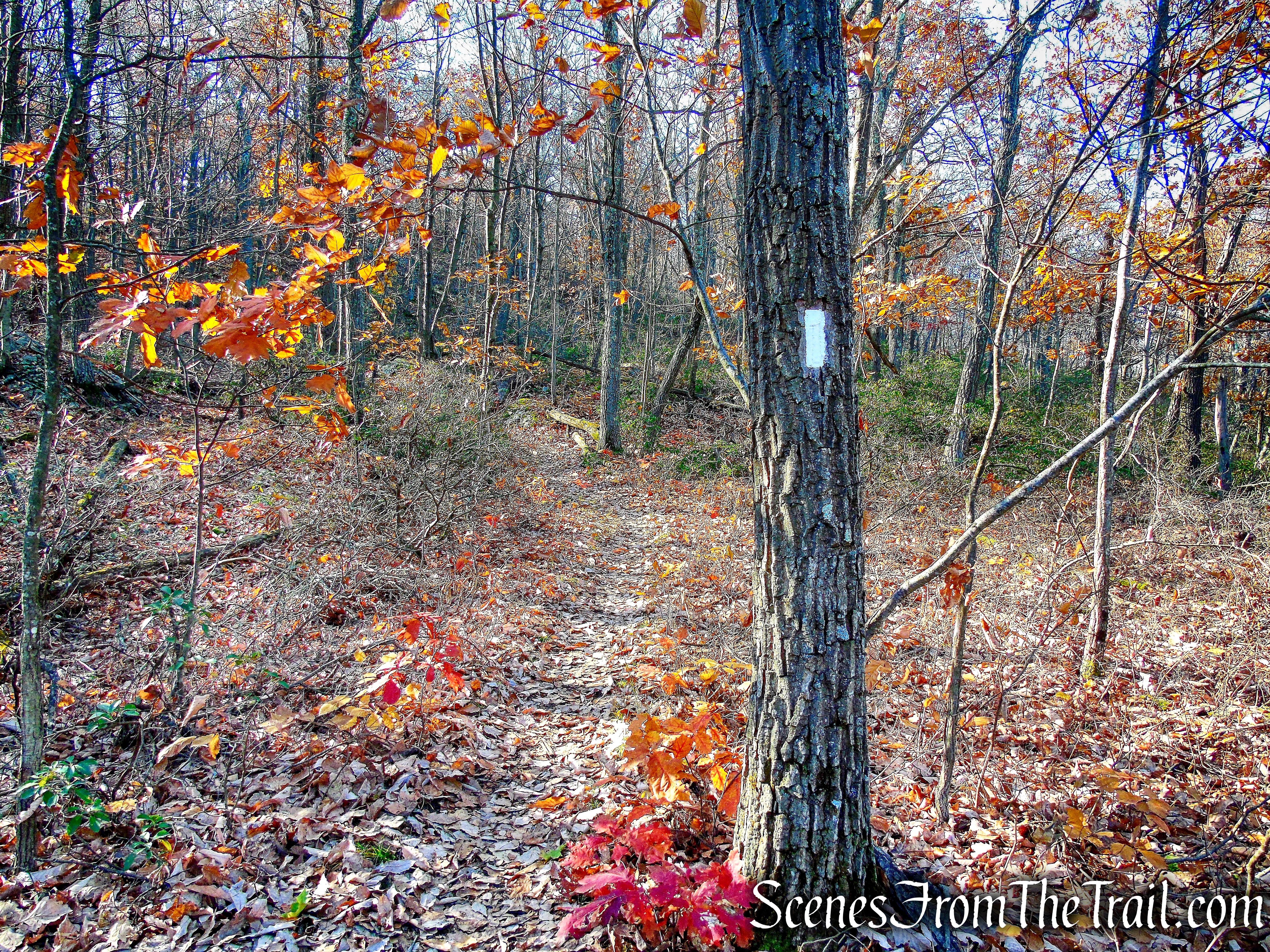 Appalachian Trail – Shenandoah Mountain