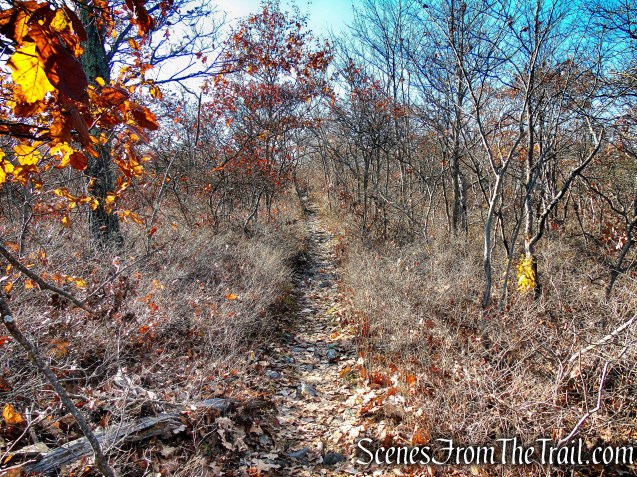 Appalachian Trail – Shenandoah Mountain