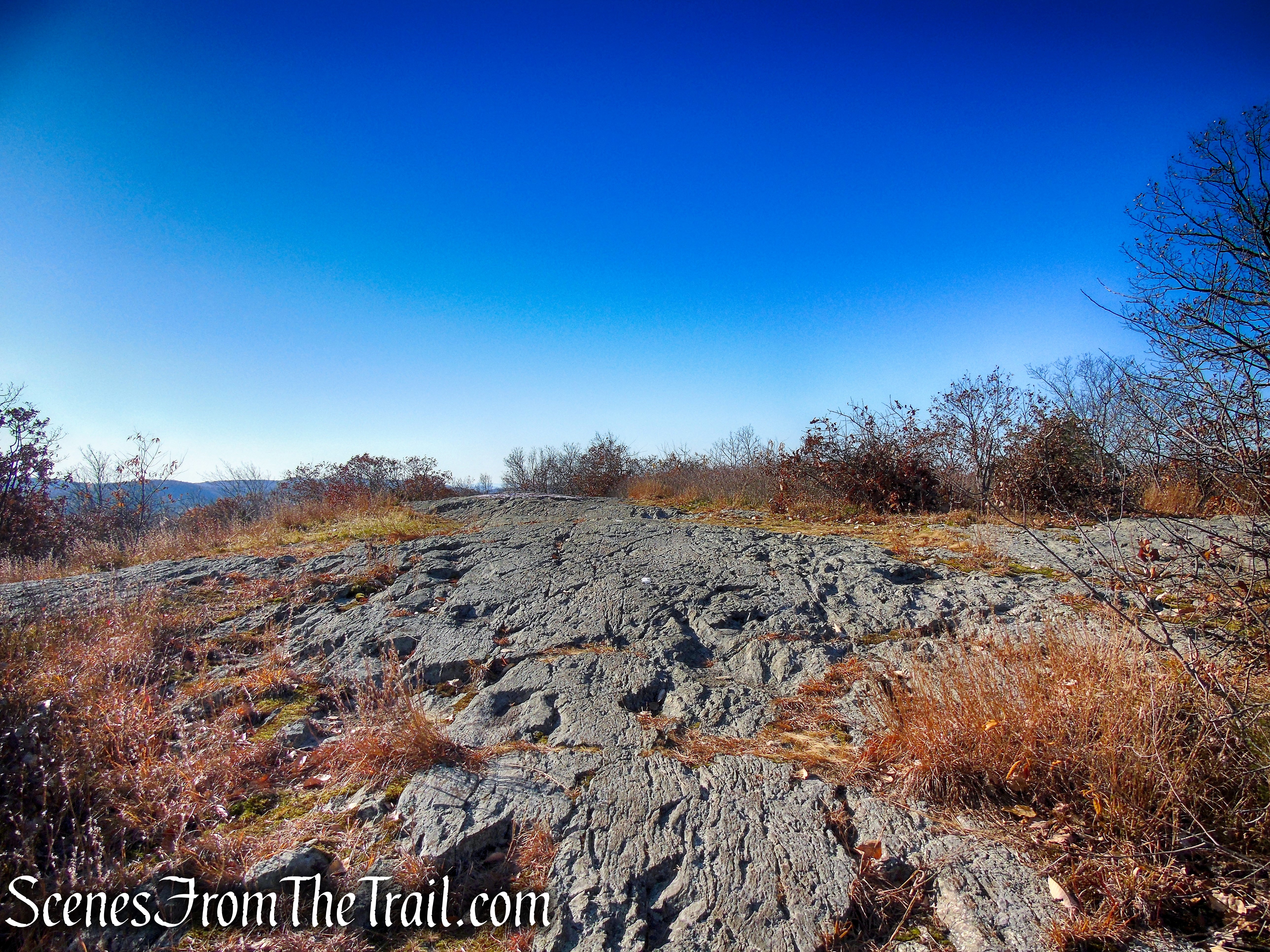 Appalachian Trail – Shenandoah Mountain