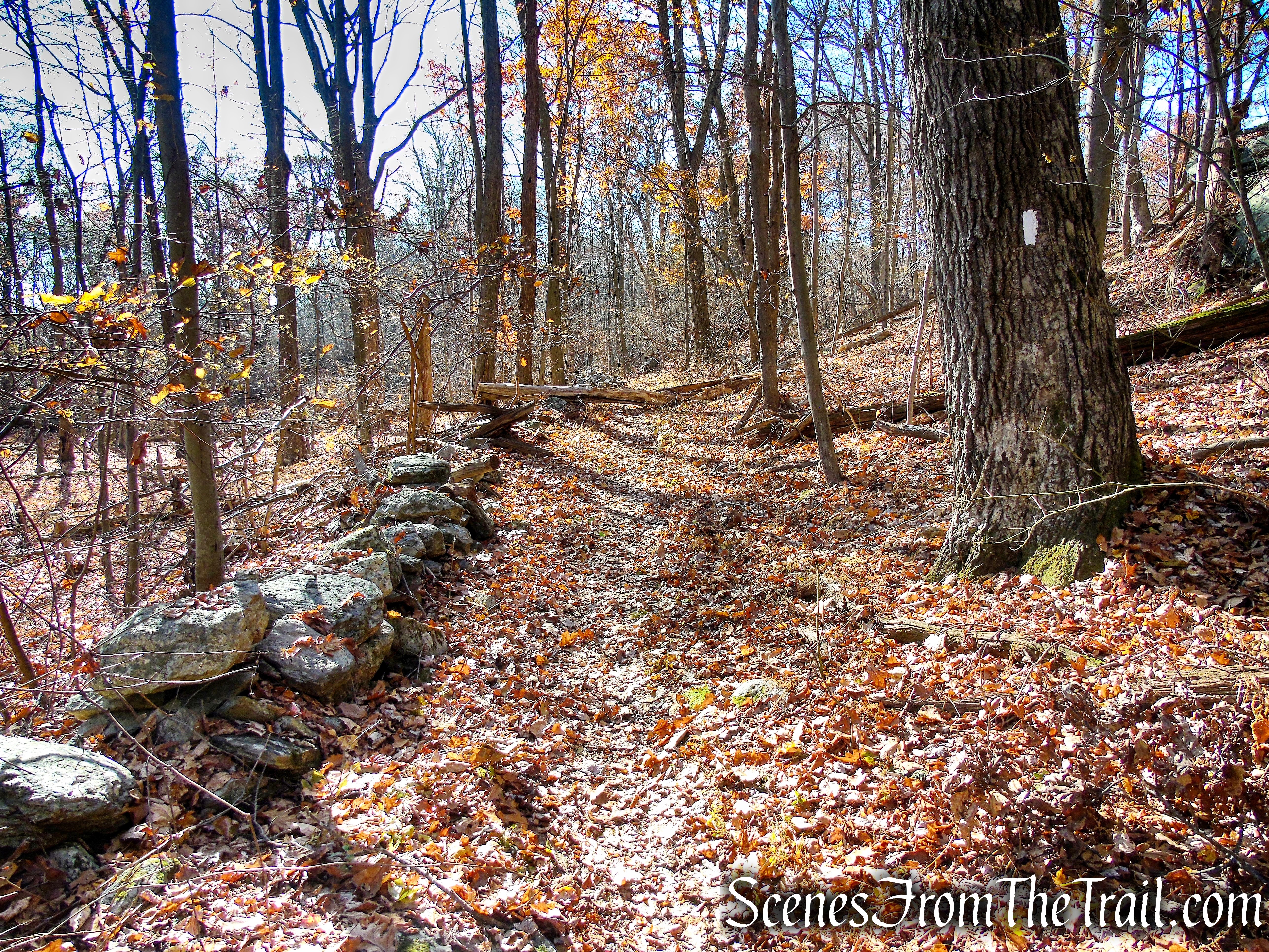 Appalachian Trail – Shenandoah Mountain