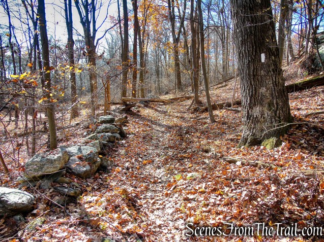 Appalachian Trail – Shenandoah Mountain