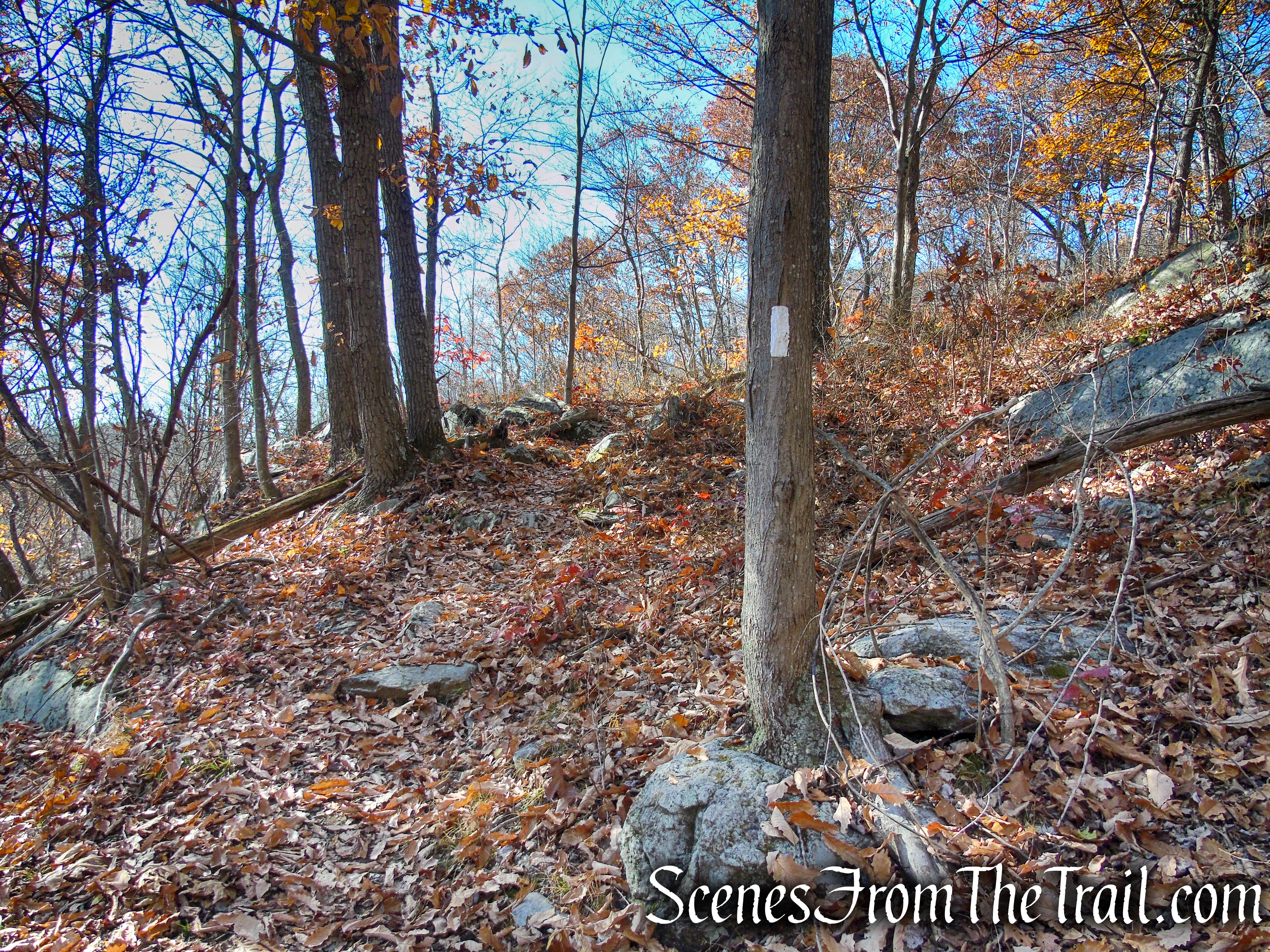 Appalachian Trail – Shenandoah Mountain