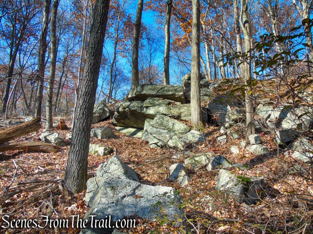 Appalachian Trail – Shenandoah Mountain