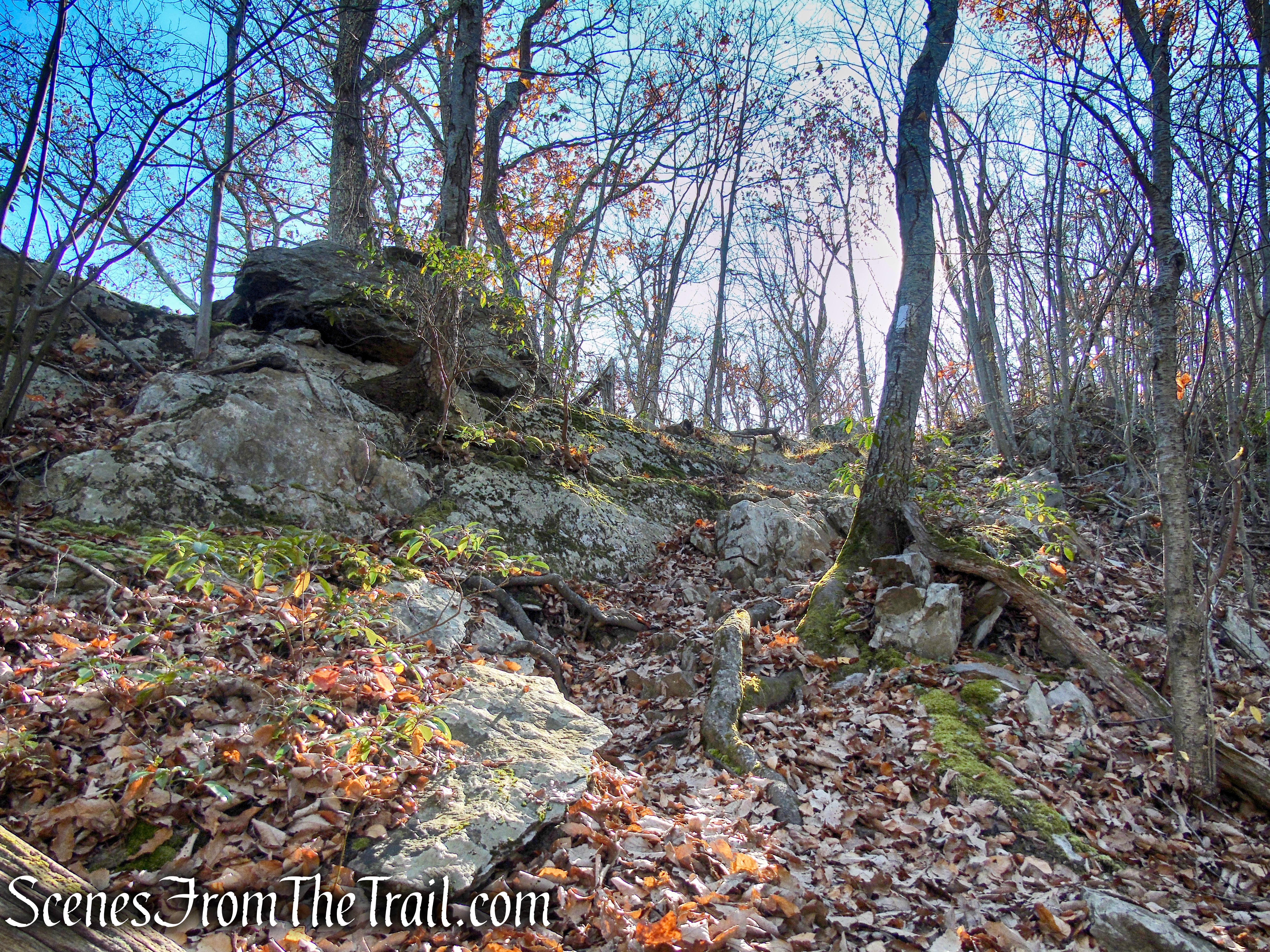 Appalachian Trail – Shenandoah Mountain