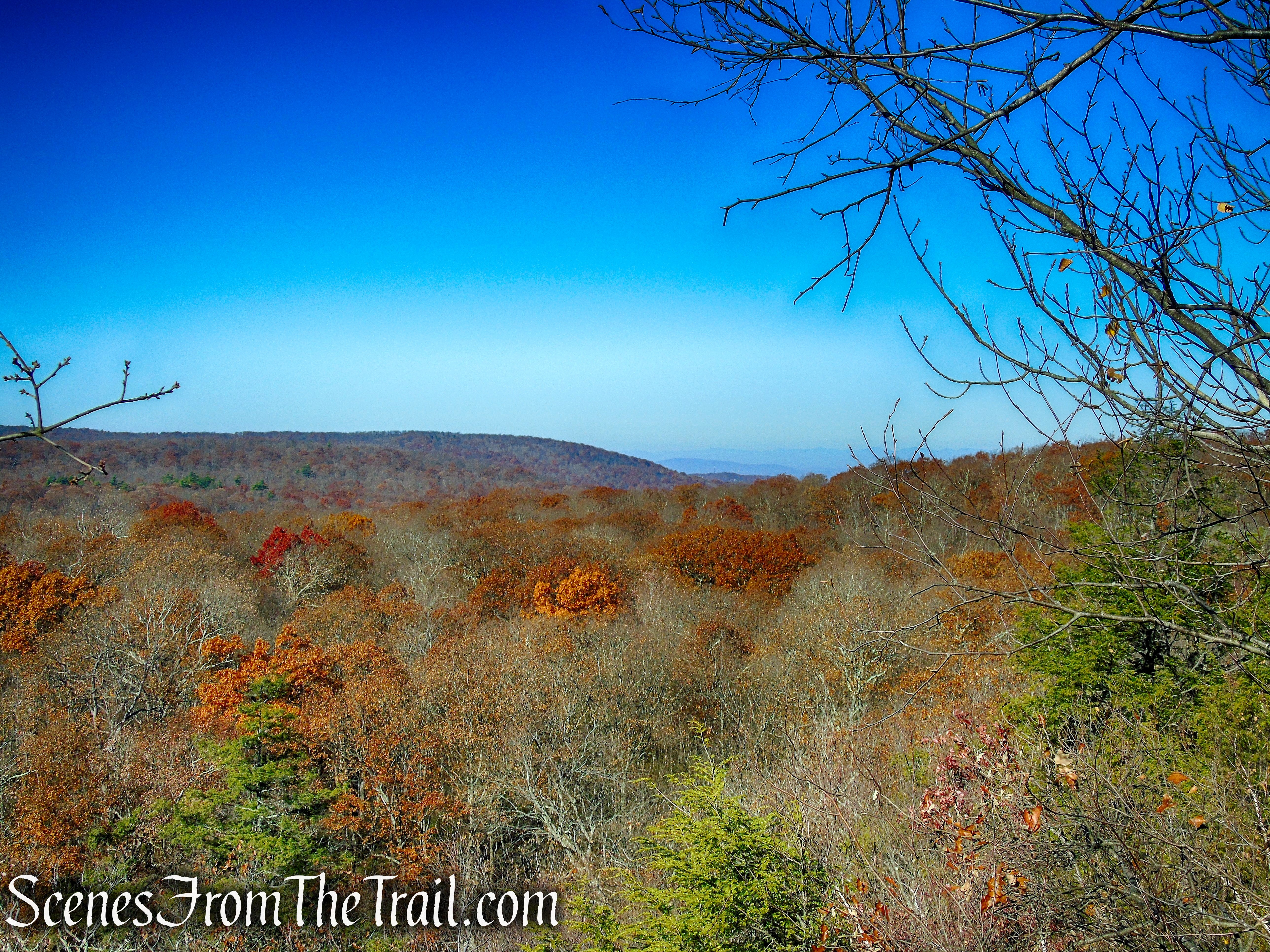 Appalachian Trail – Shenandoah Mountain