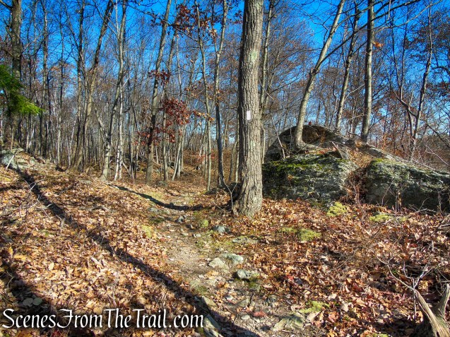 Appalachian Trail – Shenandoah Mountain