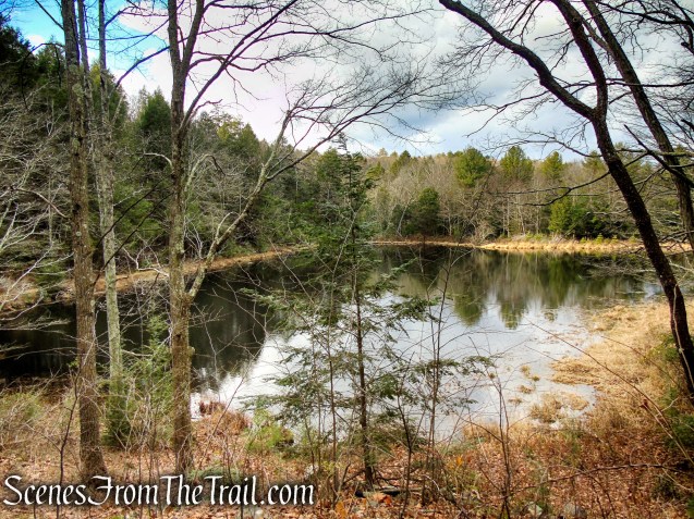 Granniss Pond – Prospect Mountain Preserve