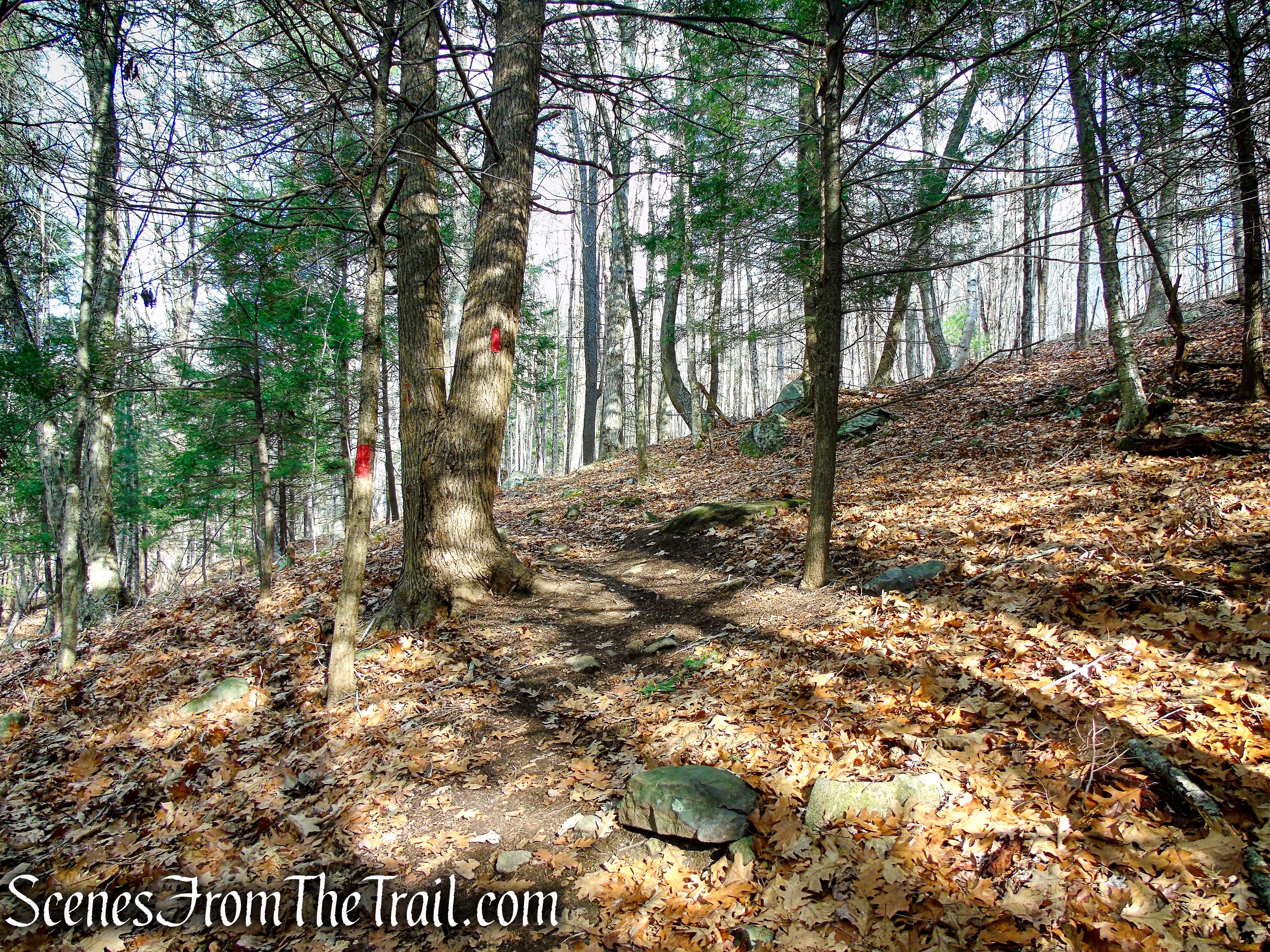 Red Trail – Prospect Mountain Preserve