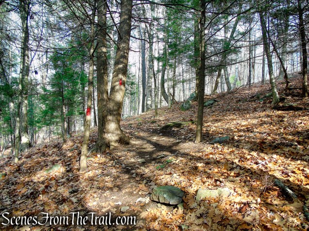 Red Trail – Prospect Mountain Preserve