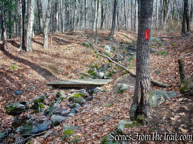 Red Trail – Prospect Mountain Preserve